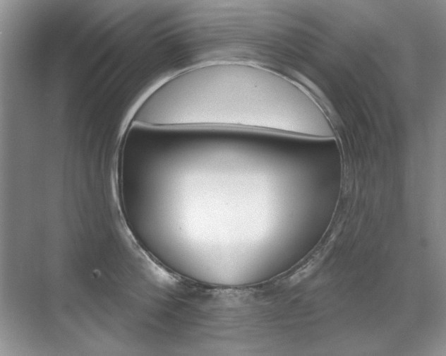 X0000071940812200607071012