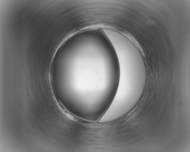 X0000071940813200607071012