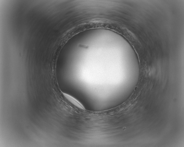 X0000071940821200607071011