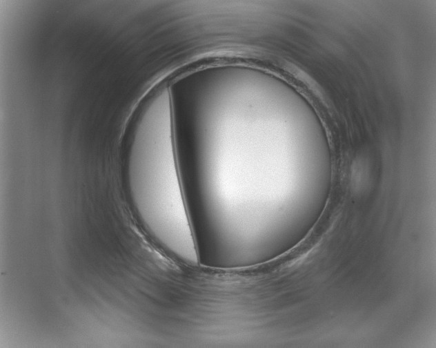 X0000071940829200607071011