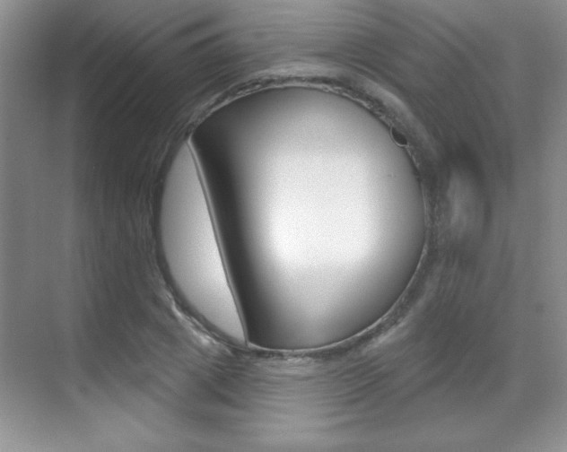 X0000071940833200607071011