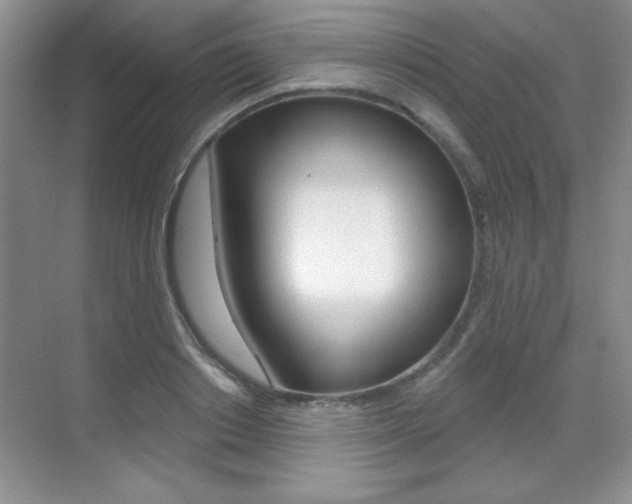X0000071940842200607071011