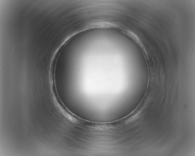 X0000071940843200607071011