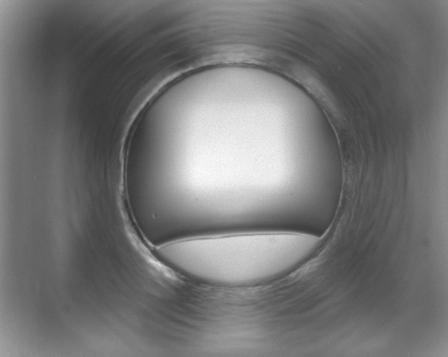 X0000071940844200607071011
