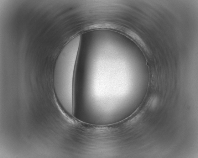 X0000071940849200607071011
