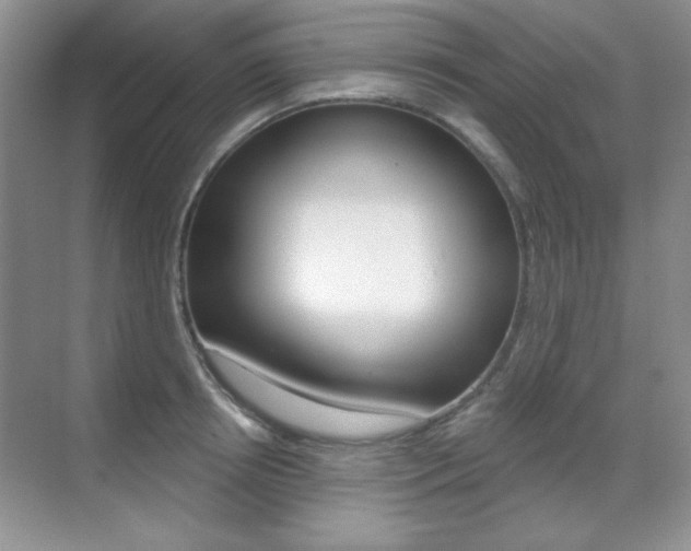 X0000071940850200607071011