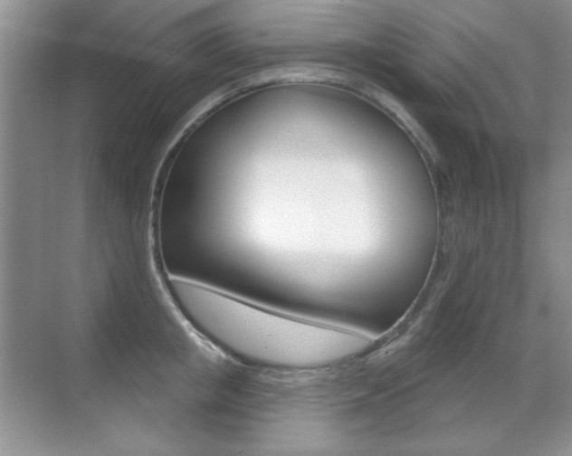 X0000071940853200607071011