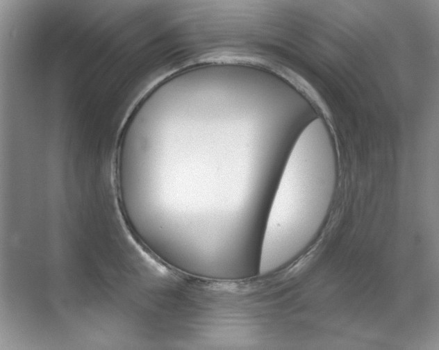 X0000071940855200607071011