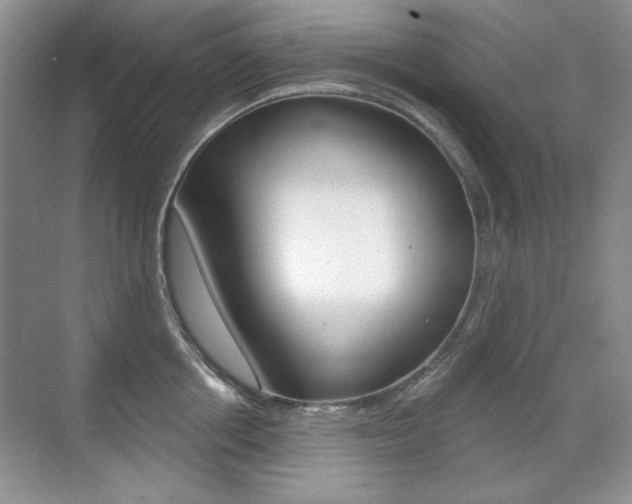 X0000071940858200607071011