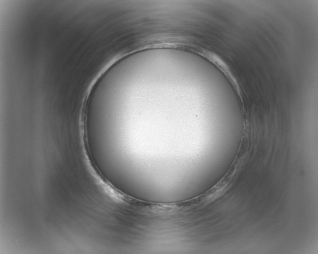X0000071940859200607071011