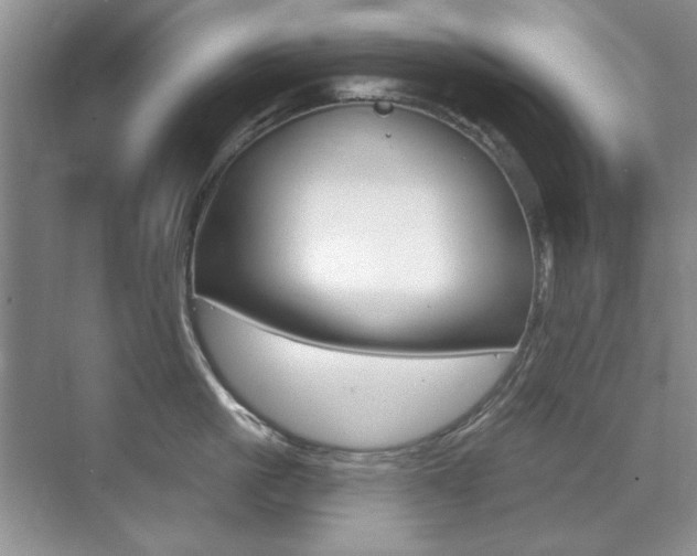 X0000071940861200607071011