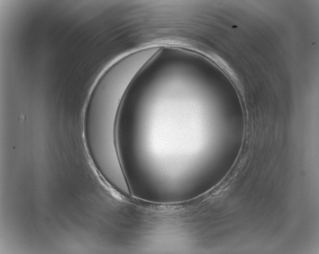 X0000071940862200607071011