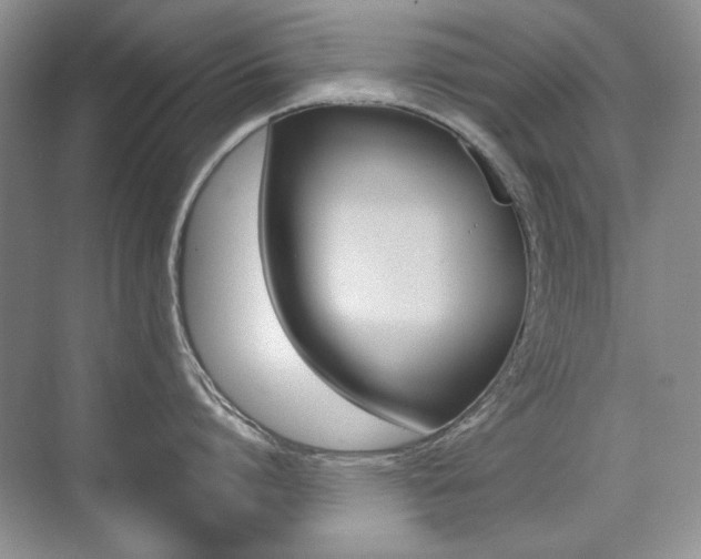 X0000071940864200607071011