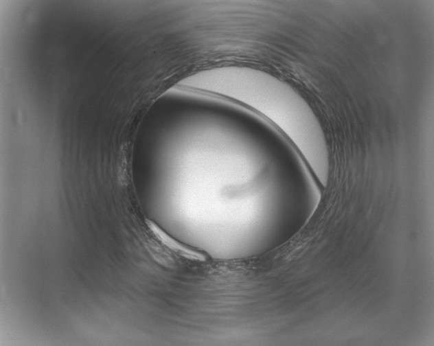 X0000071940868200607071011
