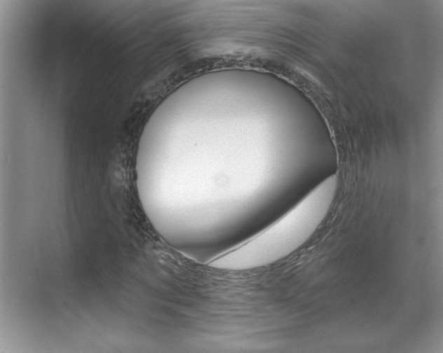 X0000071940869200607071011