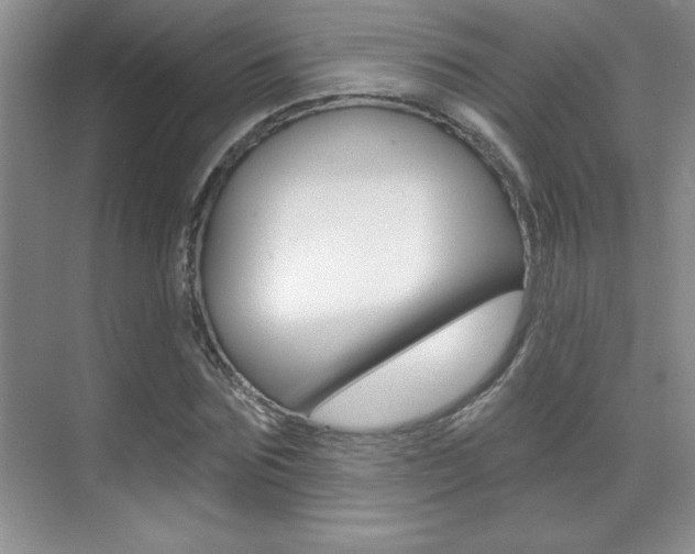 X0000071940875200607071011