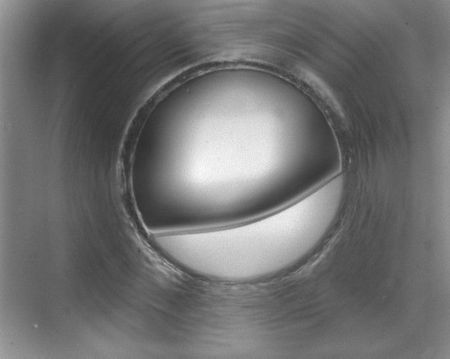 X0000071940876200607071011