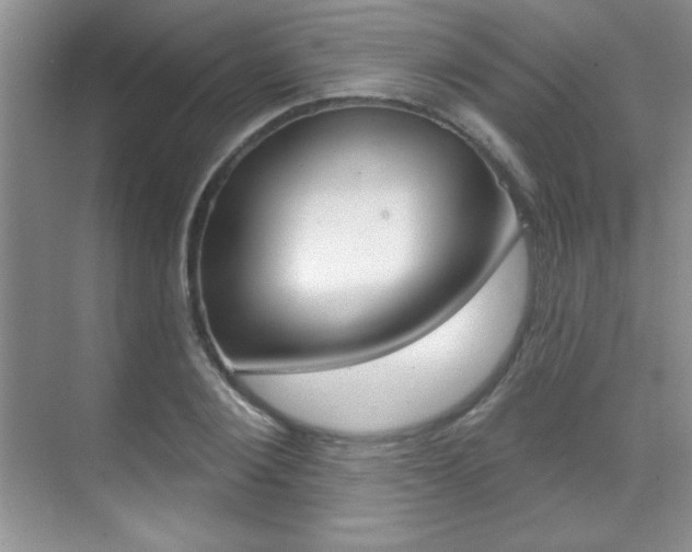 X0000071940884200607071010