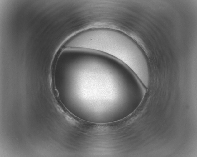 X0000071940888200607071010
