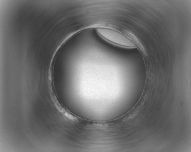 X0000071940900200607071010