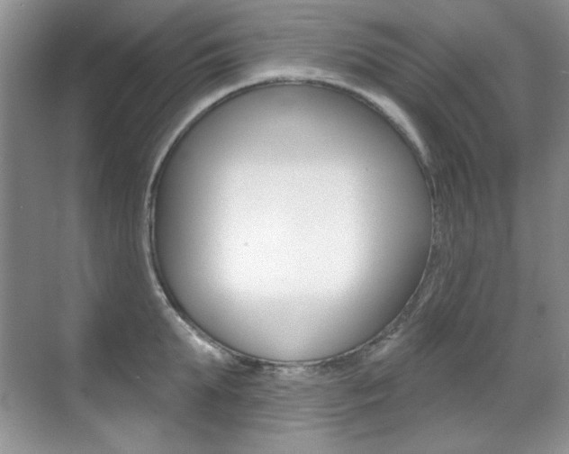 X0000071940903200607071010