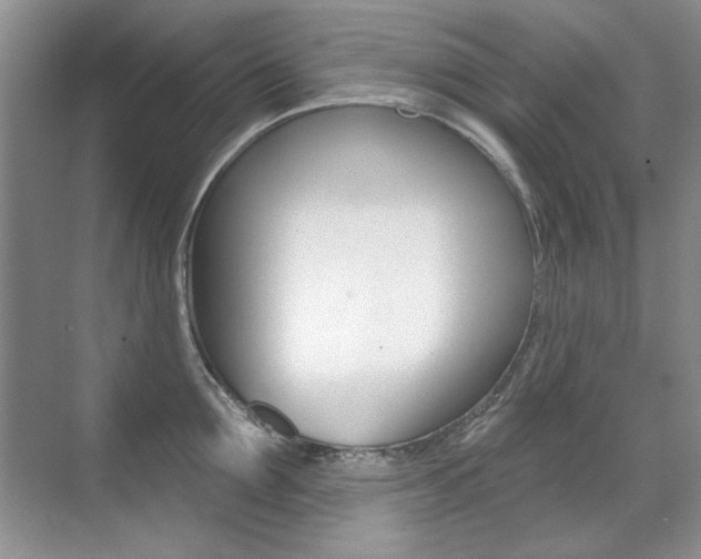 X0000071940907200607071010