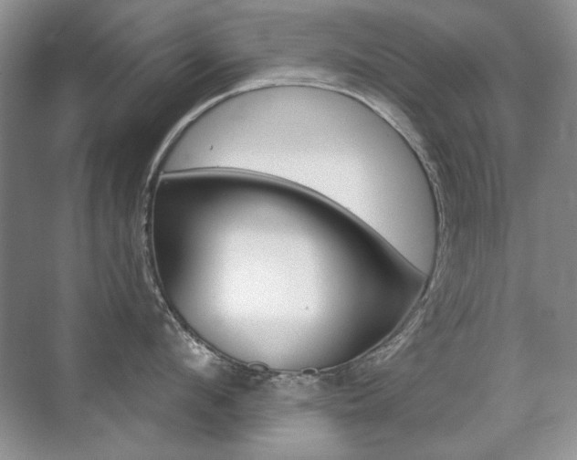 X0000071940912200607071010