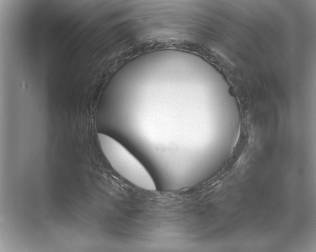 X0000071940917200607071009