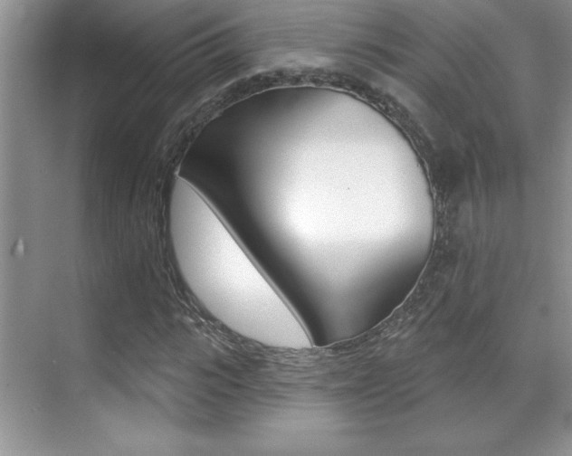 X0000071940919200607071009