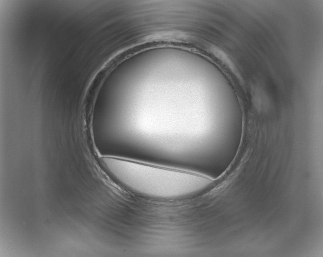 X0000071940923200607071009