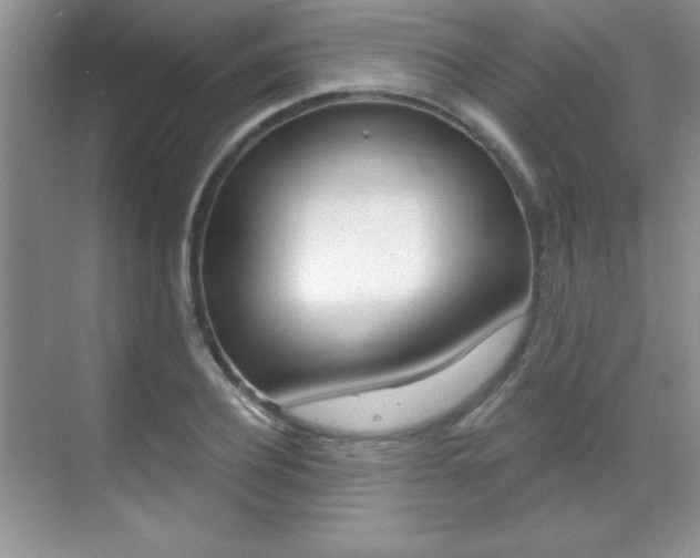 X0000071940932200607071009