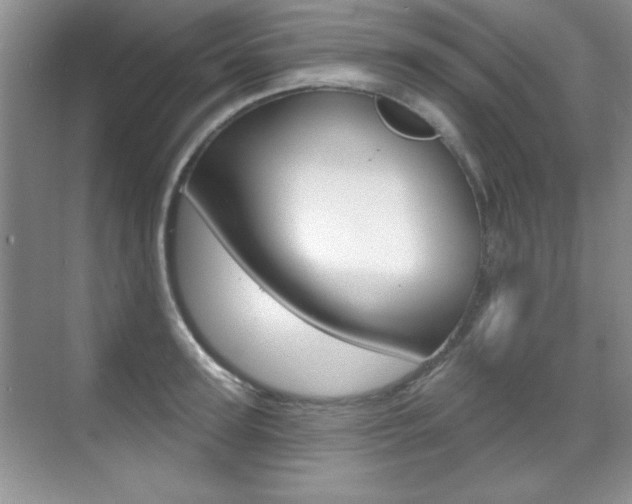 X0000071940947200607071010