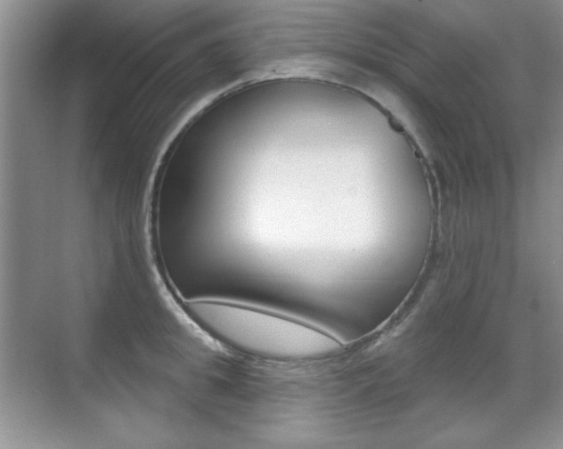X0000071940949200607071010