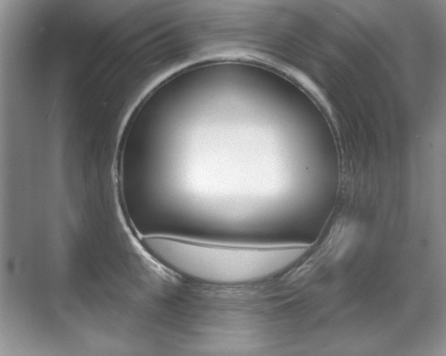 X0000071940951200607071010