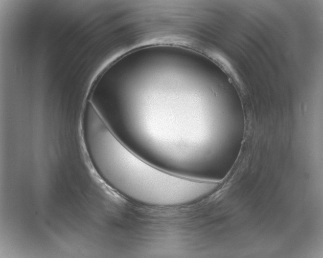 X0000071940952200607071010