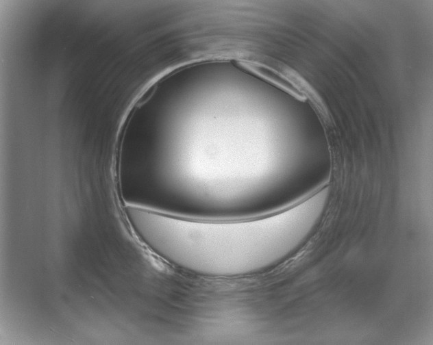 X0000071940956200607071010