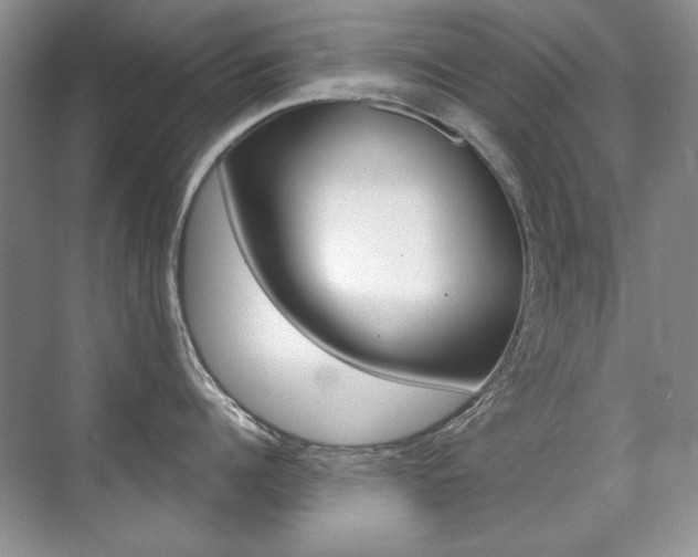 X0000071940960200607071010