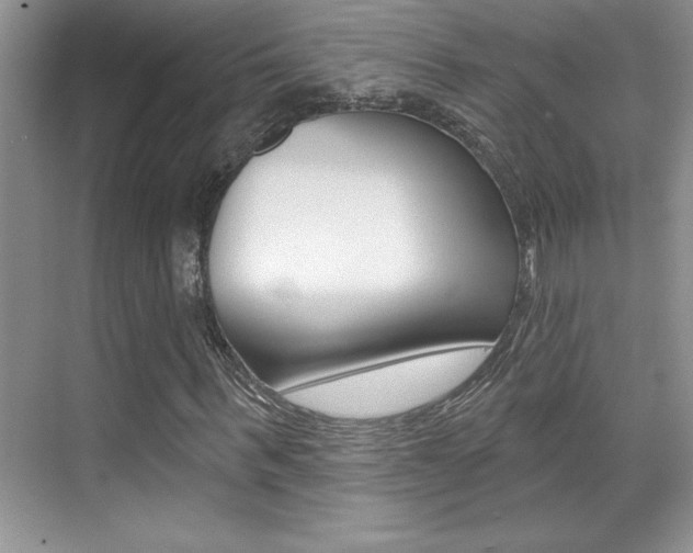 X0000071940963200607071009