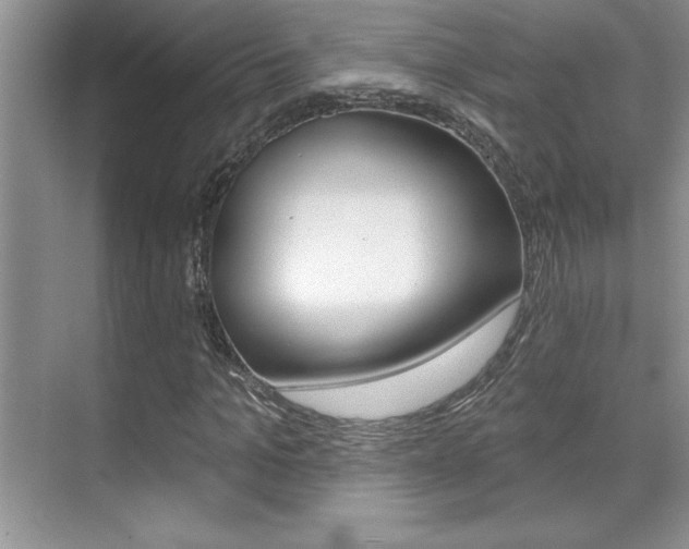 X0000071940965200607071009
