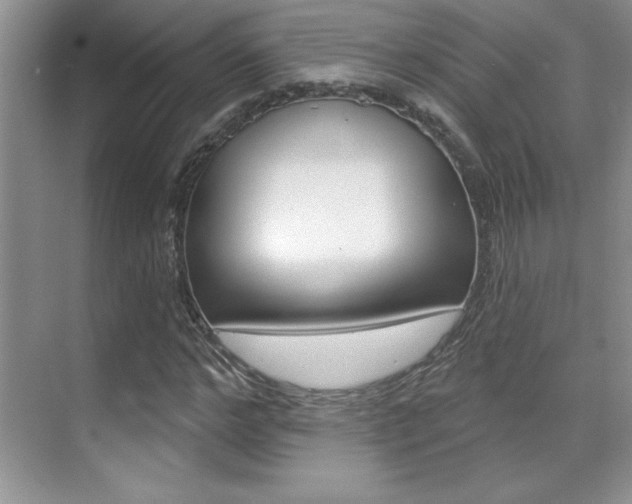 X0000071940968200607071009