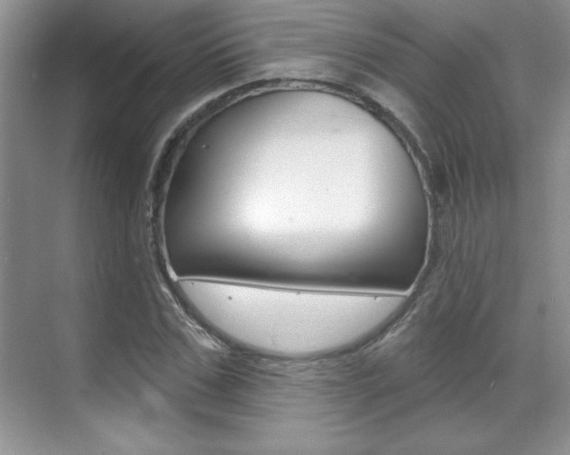 X0000071940971200607071009