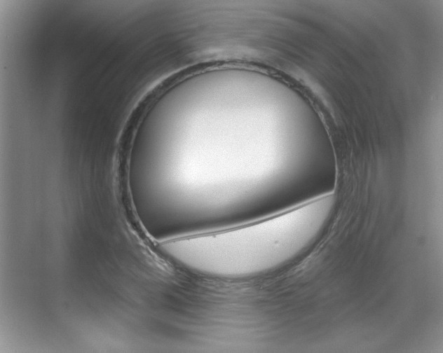 X0000071940975200607071009