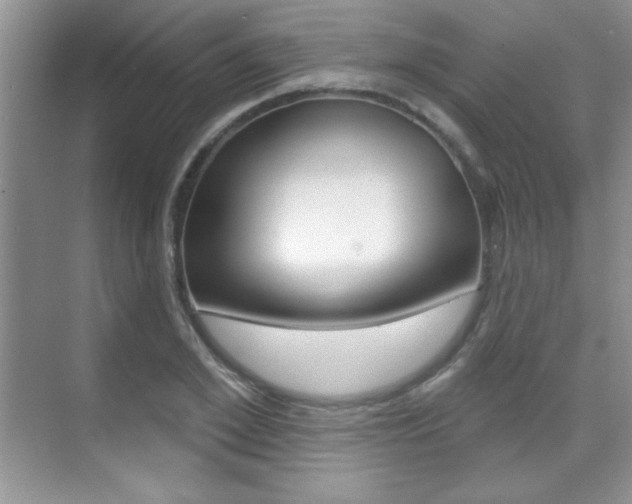 X0000071940981200607071009
