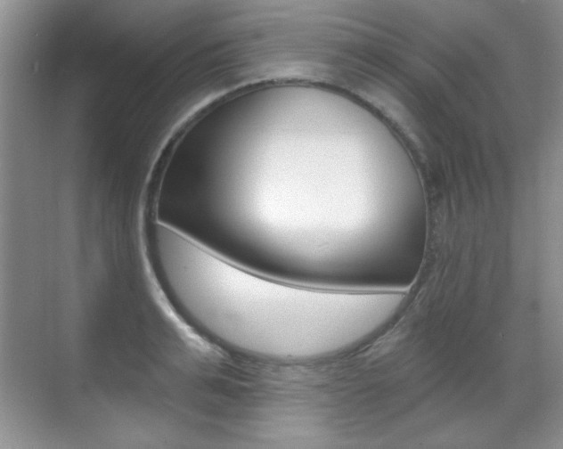 X0000071940991200607071009