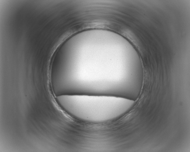 X0000071940994200607071009