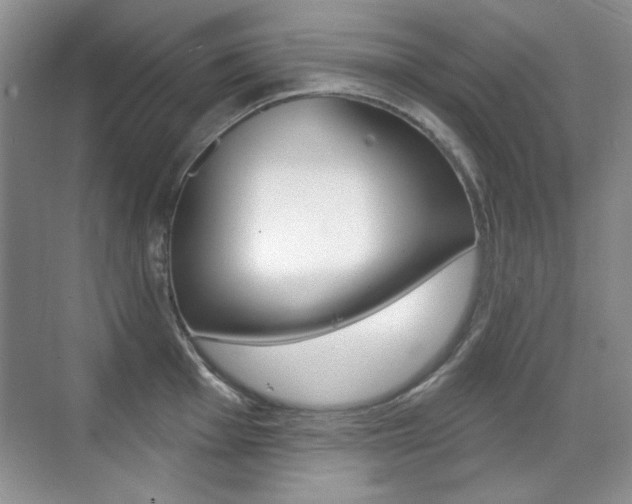 X0000071941001200607071008