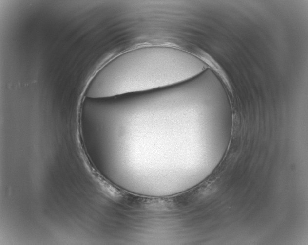 X0000071941002200607071008