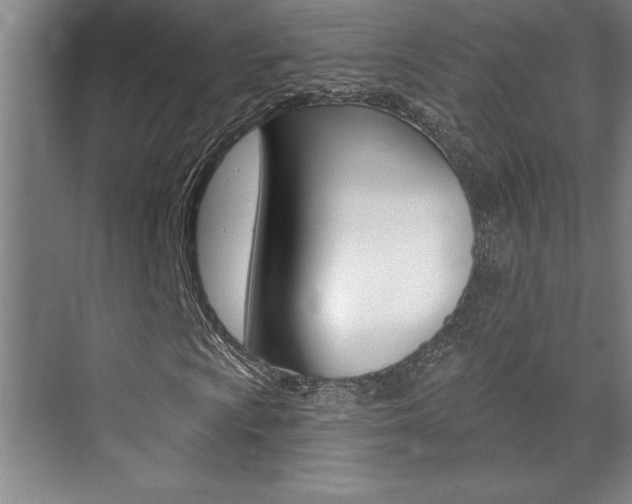 X0000071941009200607071007