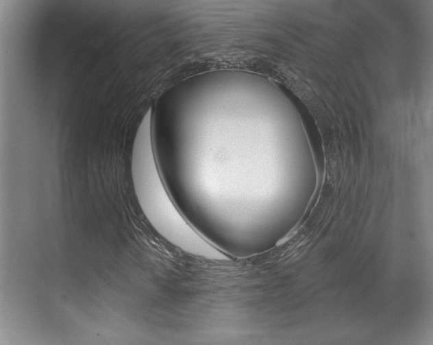 X0000071941010200607071008