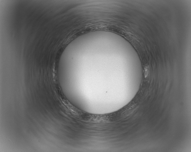 X0000071941011200607071008